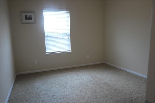 spare room featuring light carpet