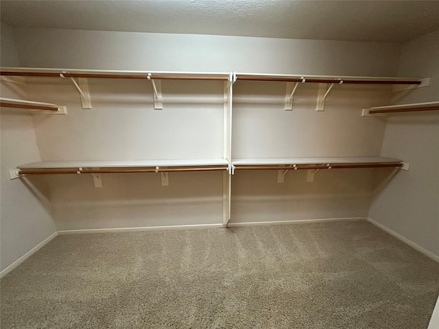 walk in closet with carpet flooring