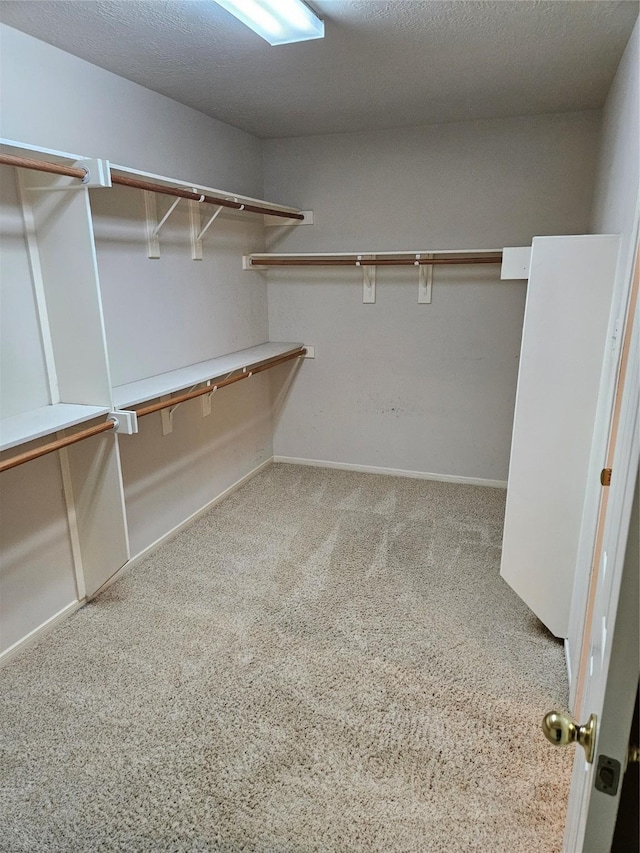 spacious closet with carpet