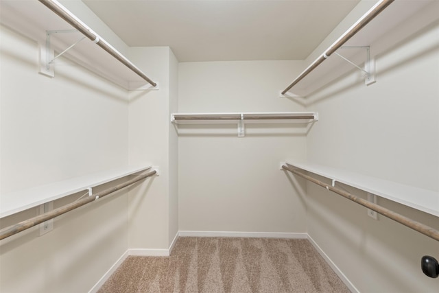 spacious closet featuring light colored carpet