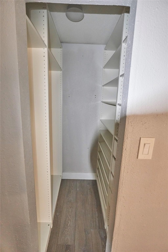 spacious closet with dark hardwood / wood-style floors