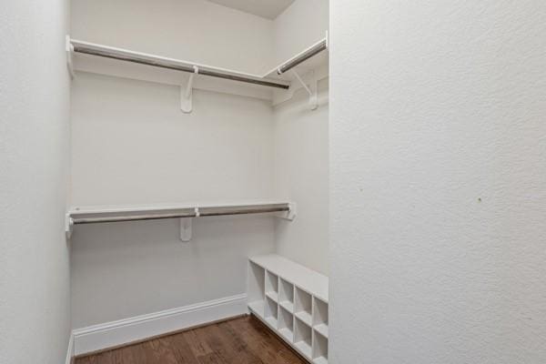 spacious closet featuring dark hardwood / wood-style floors