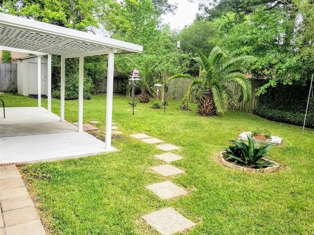 view of yard featuring a patio and a shed