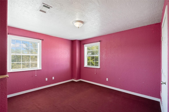 empty room featuring carpet, a healthy amount of sunlight, and a textured ceiling