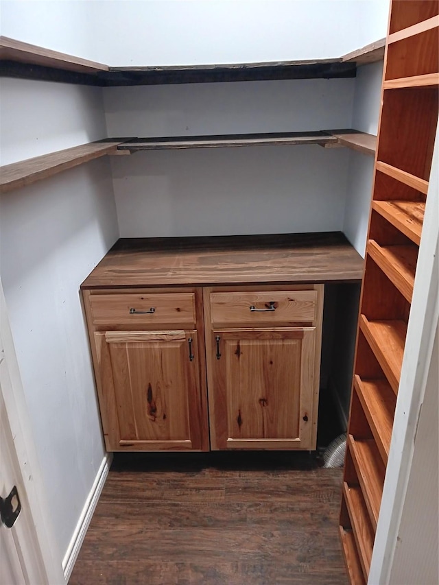 interior space featuring dark hardwood / wood-style floors