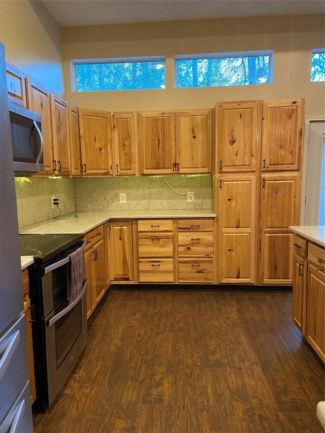 kitchen featuring decorative backsplash, dark wood-type flooring, and appliances with stainless steel finishes