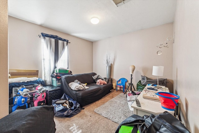 interior space with carpet and a textured ceiling