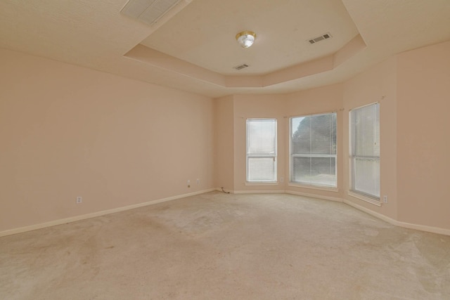 spare room with a raised ceiling and carpet flooring