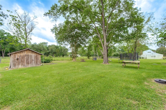 view of yard featuring an outbuilding and a trampoline