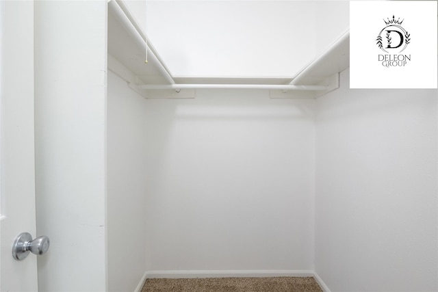 walk in closet with carpet