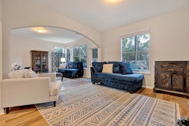 living room featuring hardwood / wood-style floors