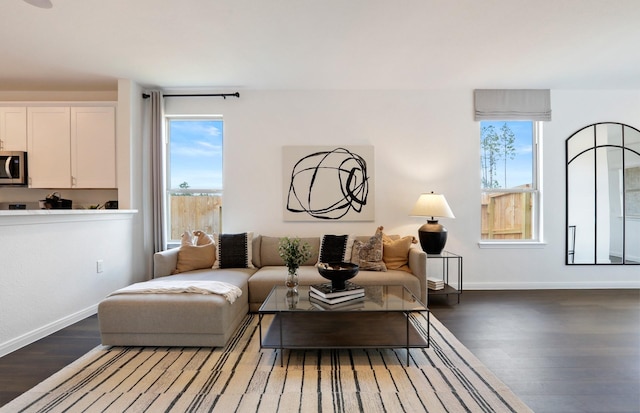 living room featuring dark hardwood / wood-style flooring