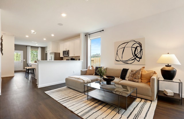 living room with dark hardwood / wood-style flooring