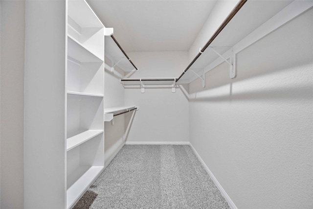 walk in closet featuring carpet flooring