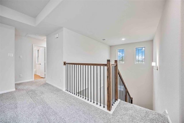 staircase featuring carpet floors