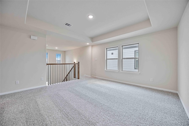 spare room with carpet floors, a wealth of natural light, and a tray ceiling