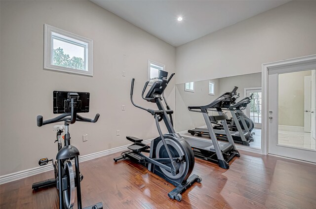 exercise area featuring hardwood / wood-style floors and a wealth of natural light