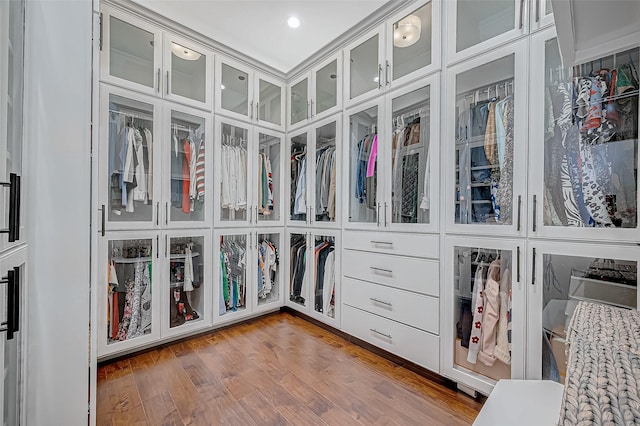 walk in closet featuring wood finished floors