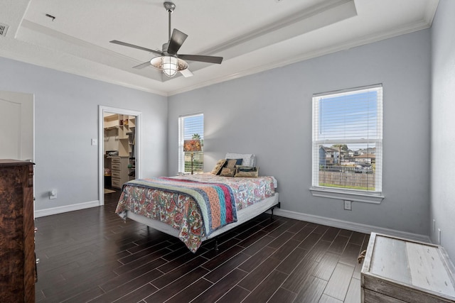 bedroom featuring ceiling fan, a raised ceiling, a walk in closet, a closet, and ornamental molding