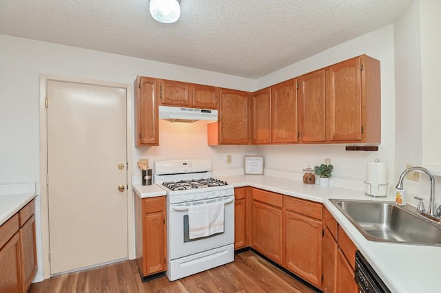 kitchen featuring a textured ceiling, sink, dishwasher, light hardwood / wood-style floors, and white gas stove