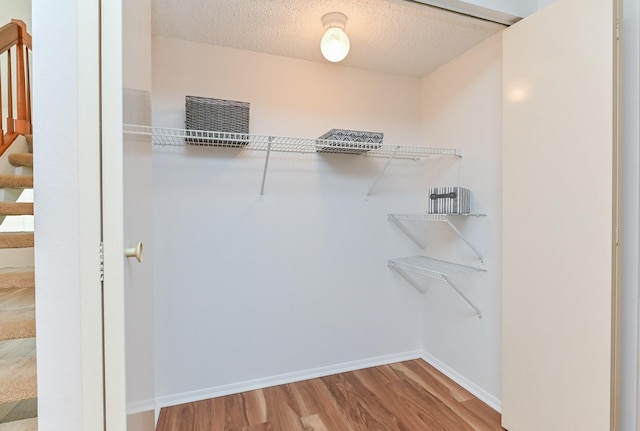 spacious closet featuring wood-type flooring