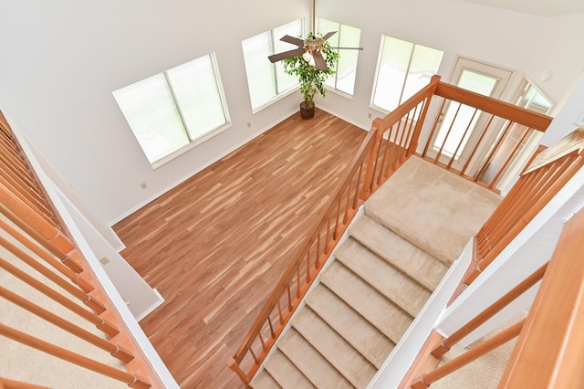 stairs with ceiling fan and hardwood / wood-style floors