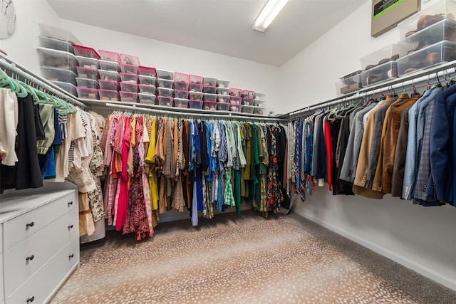 view of spacious closet