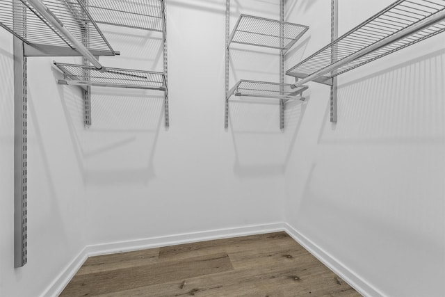 spacious closet with hardwood / wood-style floors