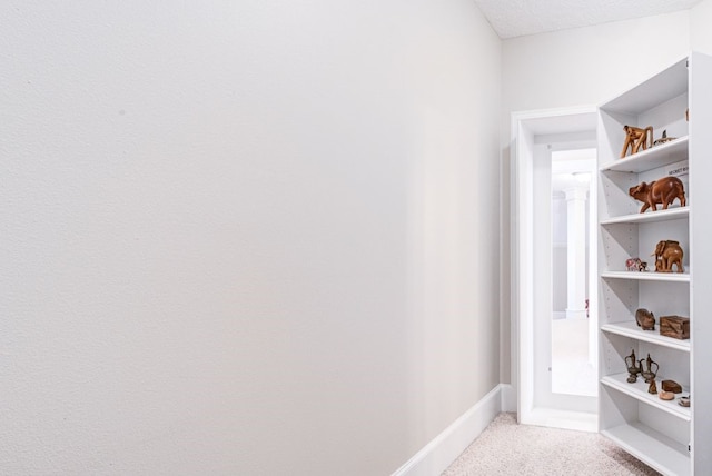 walk in closet featuring light colored carpet