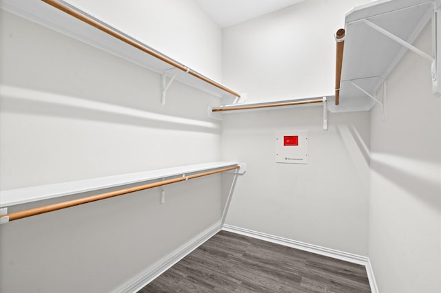 spacious closet with dark wood-type flooring