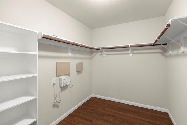 spacious closet featuring dark wood-type flooring