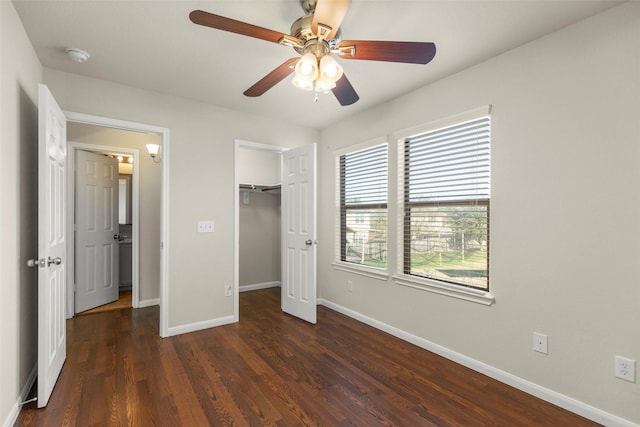 unfurnished bedroom featuring a walk in closet, a closet, dark hardwood / wood-style floors, and ceiling fan