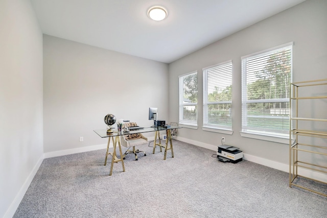 carpeted office space featuring a healthy amount of sunlight