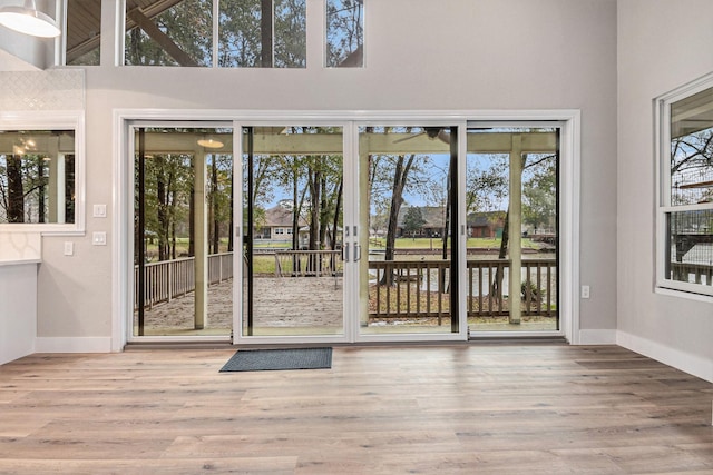 doorway with wood-type flooring and a high ceiling