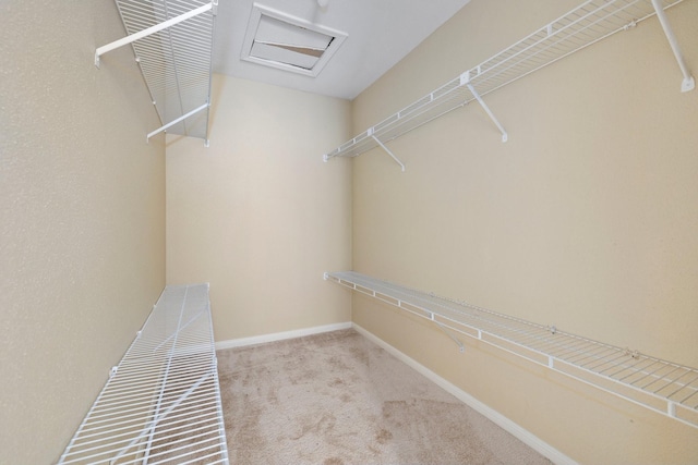 spacious closet featuring light carpet