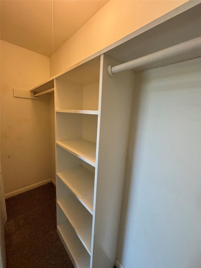 walk in closet featuring carpet flooring