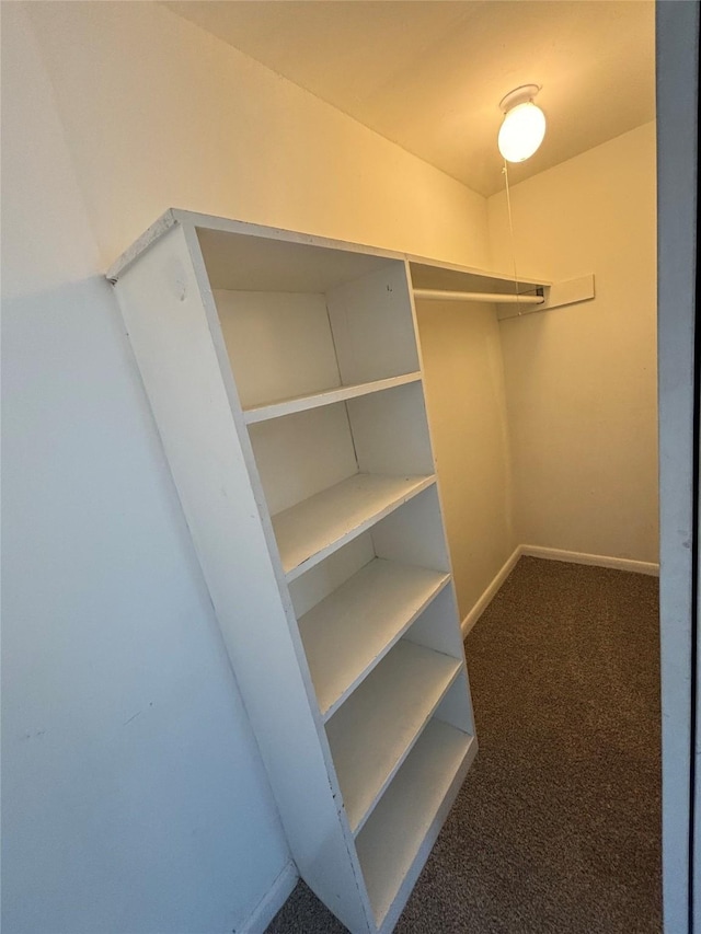 walk in closet with dark carpet