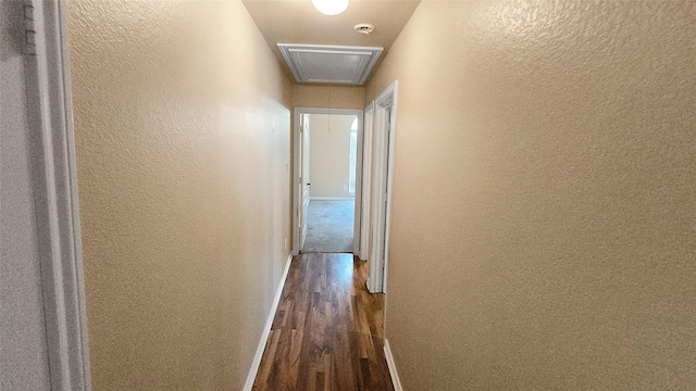 hall with dark wood-type flooring