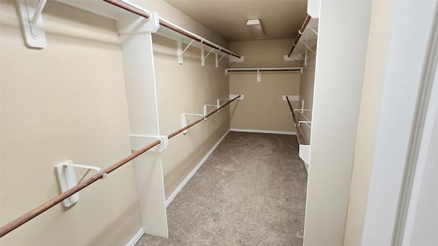 walk in closet featuring carpet floors