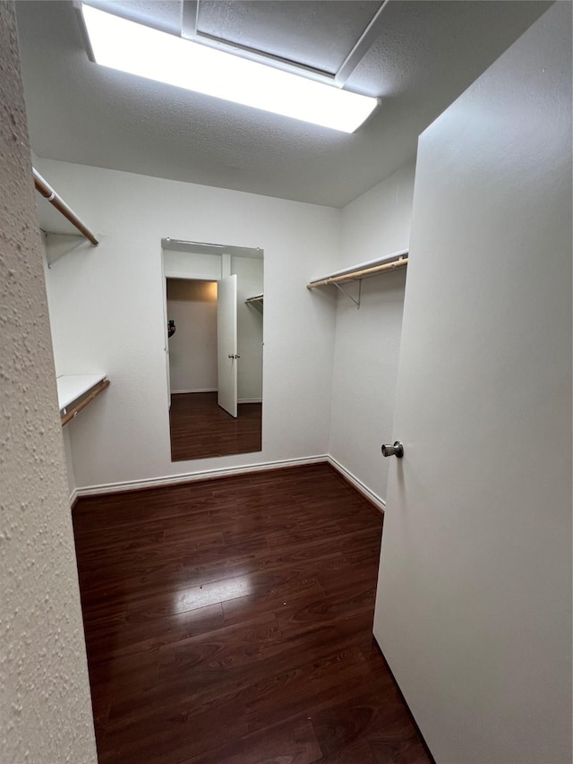 spacious closet with dark wood-type flooring