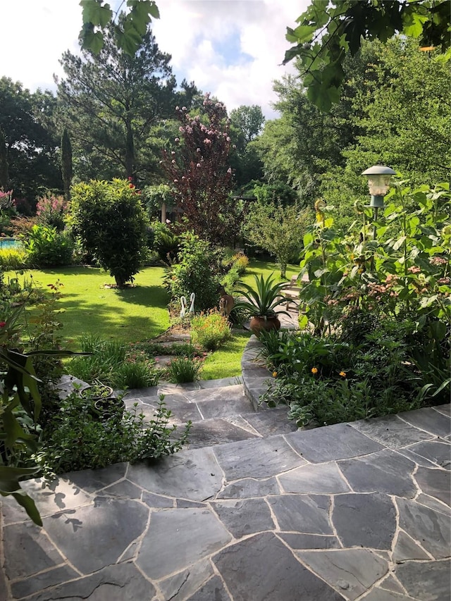 view of home's community with a yard and a patio