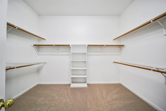 spacious closet with carpet flooring