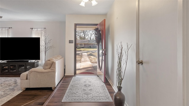 entrance foyer featuring dark hardwood / wood-style flooring and a wealth of natural light