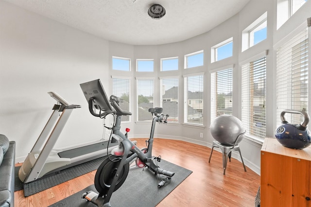 exercise room featuring a textured ceiling and light hardwood / wood-style floors