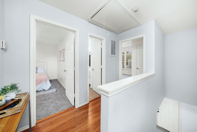 hallway featuring wood-type flooring