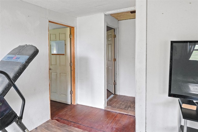 interior space with dark hardwood / wood-style flooring