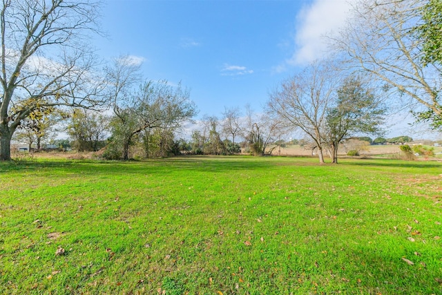 view of yard featuring a rural view