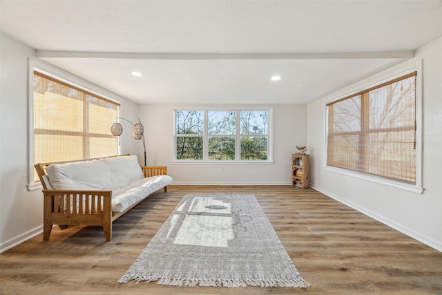 sitting room with hardwood / wood-style floors