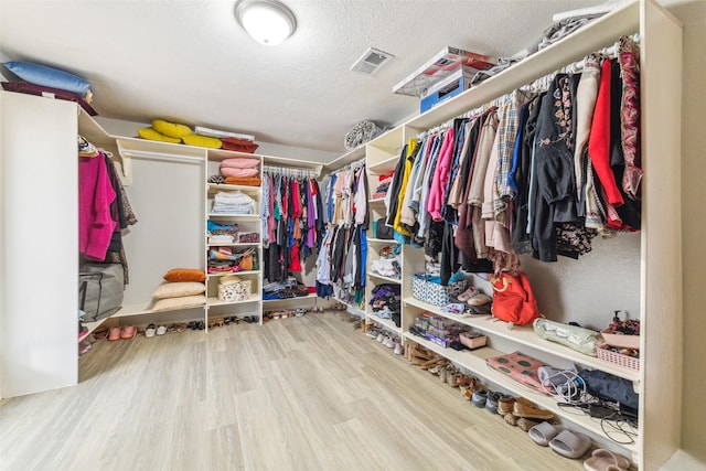 spacious closet with wood-type flooring