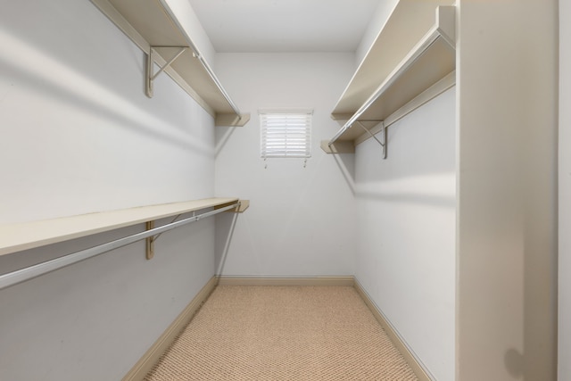 walk in closet featuring light carpet